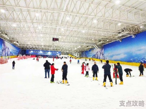 仙境传说新启航：骑士技能加点全解析，打造无敌战士的必备攻略